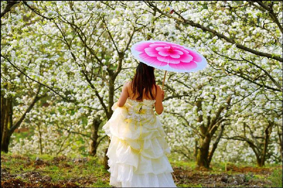 【春天，广西桂林灌阳县向您发出邀请！】我们在灌阳看梨花 - 游山玩水 - 上海生活社区 - 上海28生活网 sh.28life.com