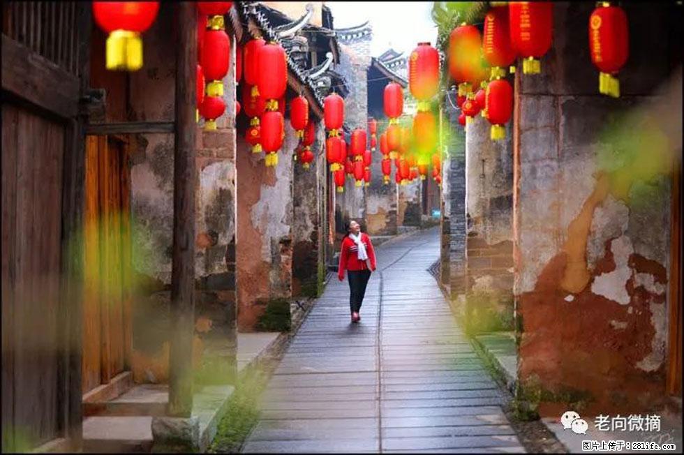 【春天,广西桂林灌阳县向您发出邀请!】江口老街又逢春 - 游山玩水 - 上海生活社区 - 上海28生活网 sh.28life.com