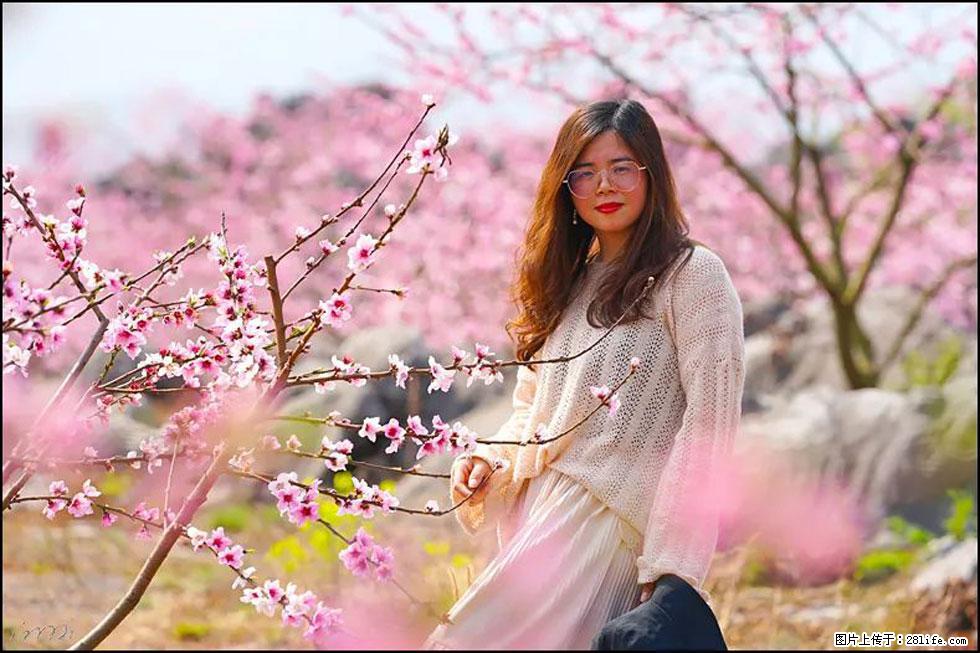 【春天,广西桂林灌阳县向您发出邀请!】望月岭上桃花开 - 游山玩水 - 上海生活社区 - 上海28生活网 sh.28life.com