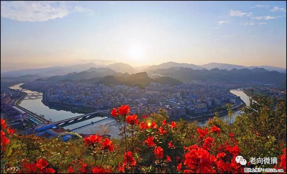 【春天,广西桂林灌阳县向您发出邀请!】登麒麟山,相约映山红 - 游山玩水 - 上海生活社区 - 上海28生活网 sh.28life.com