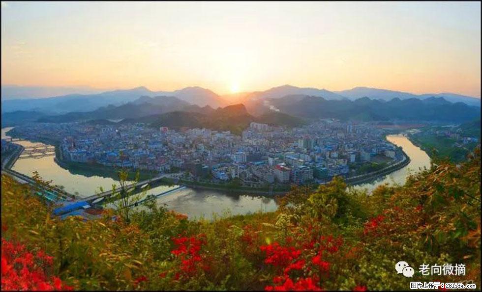 【春天,广西桂林灌阳县向您发出邀请!】登麒麟山,相约映山红 - 游山玩水 - 上海生活社区 - 上海28生活网 sh.28life.com