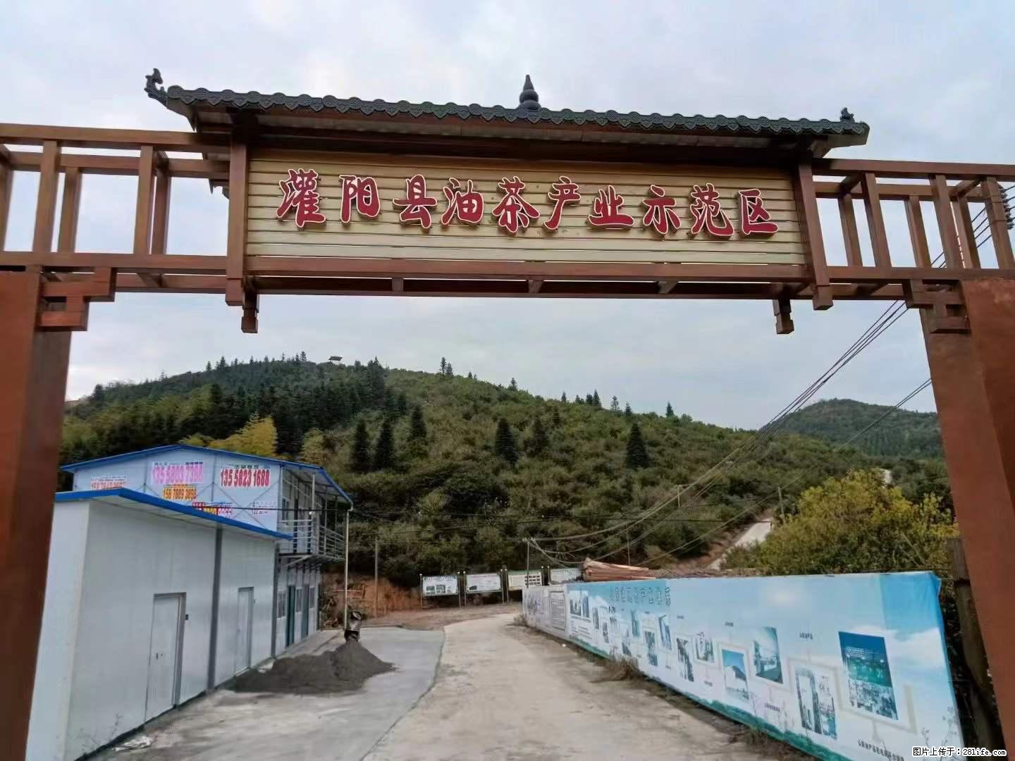 【灌阳县油茶产业示范区】一个有着充实的精神生活的人,对待身外之物自会有一种淡泊的态度 - 美食天地 - 上海生活社区 - 上海28生活网 sh.28life.com