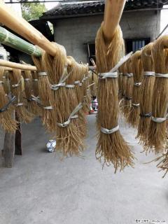 【灌阳正宗红薯粉】美女家里自己做的，干净卫生，假一赔十，价格合理，抢购电话：13737312895 - 上海28生活网 sh.28life.com