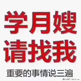 为什么要学习月嫂，育婴师？ - 上海28生活网 sh.28life.com