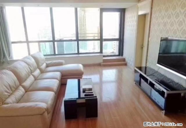 国际丽都城 双南两房全明户型 园林小区 近南京西路雕塑公园 - 房屋出租 - 房屋租售 - 上海分类信息 - 上海28生活网 sh.28life.com