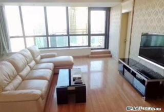 国际丽都城 双南两房全明户型 园林小区 近南京西路雕塑公园 - 上海28生活网 sh.28life.com