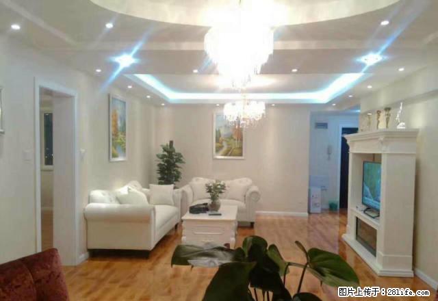 万象城附近,井亭苑精装一房便宜出租,近10号线,近韩国街 - 房屋出租 - 房屋租售 - 上海分类信息 - 上海28生活网 sh.28life.com