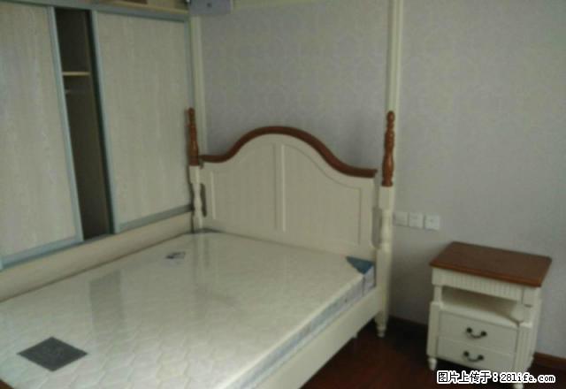 南九亭精装一房独立一室户出租,周边配套齐全,欢迎联系看房!! - 房屋出租 - 房屋租售 - 上海分类信息 - 上海28生活网 sh.28life.com