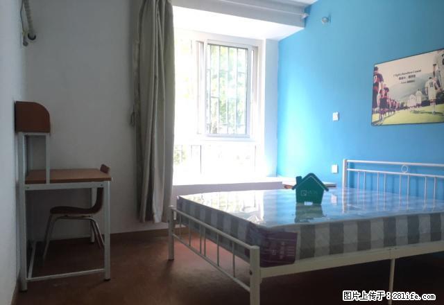 (单间出租)亭林朱行工业区附近《莲石线,纽7路亭林公交站》精装,全配! - 房屋出租 - 房屋租售 - 上海分类信息 - 上海28生活网 sh.28life.com