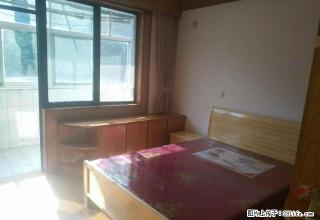 蓝天新村松江老城配套成熟，卜蜂莲花旁，宜家宜居 - 上海28生活网 sh.28life.com