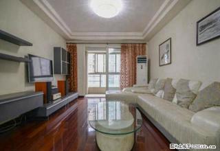 瀛台二房，环境优美 交通便利 南北通透 采光无敌 速来租 - 上海28生活网 sh.28life.com