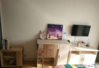 1室整租 免佣 精装修6号线港城站,魔方公寓 - 上海28生活网 sh.28life.com