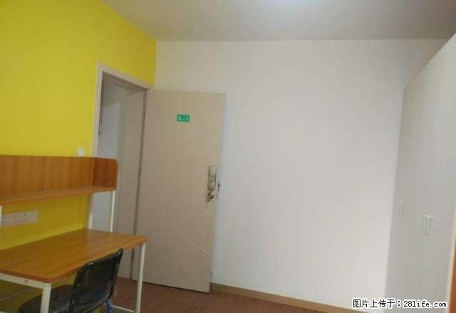 (单间出租)青客公寓 8号线 芦恒路站 人民广场直达 浦恒馨苑 精装单间 - 房屋出租 - 房屋租售 - 上海分类信息 - 上海28生活网 sh.28life.com