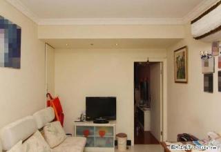 丽都成品 新出大一房 先到先得 近巨峰路6、12地铁文峰广场 - 上海28生活网 sh.28life.com