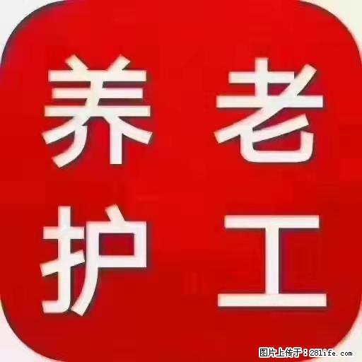 上海国企养老院,星级酒店环境,招聘养老护工 - 职场交流 - 上海生活社区 - 上海28生活网 sh.28life.com