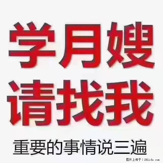 【招聘】月嫂,上海徐汇区 - 职场交流 - 上海生活社区 - 上海28生活网 sh.28life.com