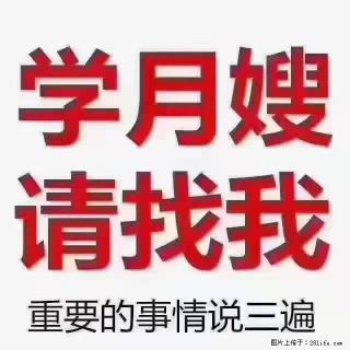 【招聘】月嫂，上海徐汇区 - 上海28生活网 sh.28life.com