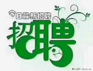 上海青浦区招仓管 - 上海28生活网 sh.28life.com