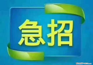 招出纳8000元/月，无证可以，要有相关经验，上海五险一金，包住，包工作餐，做六休一。 - 上海28生活网 sh.28life.com