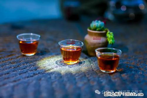 时间果百年古树2025年春红茶 - 购物交流 - 上海生活社区 - 上海28生活网 sh.28life.com