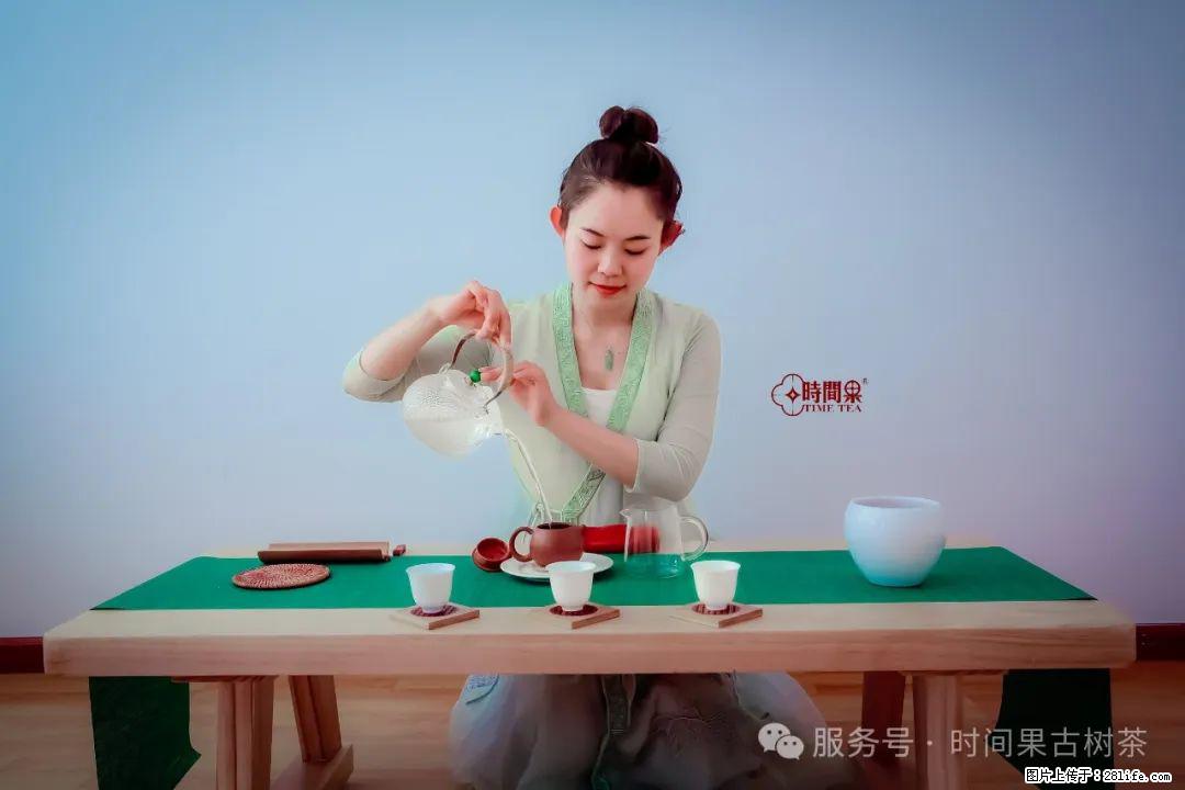 时间果百年古树龙珠普洱生茶 - 购物交流 - 上海生活社区 - 上海28生活网 sh.28life.com