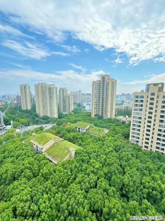 杨浦生活指南：树木修剪绿化垃圾处理靠谱公司推荐 - 综合信息 - 其他综合 - 上海分类信息 - 上海28生活网 sh.28life.com