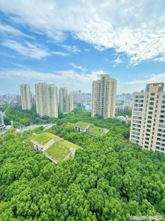 上海杨浦园林绿化｜2026 下半年靠谱树木修剪公司推荐