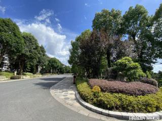 宝山生活便民指南：绿化维修服务找谁？全场景整理