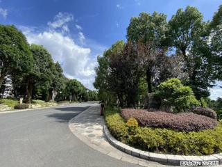 小区绿化维护避坑：选错团队后果很严重