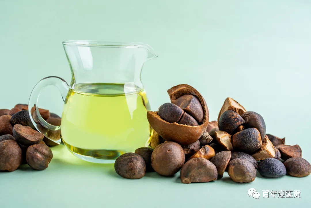 世界没有真相,只有认知,最好的食用油是中国的山茶油! - 上海生活资讯 - 上海28生活网 sh.28life.com