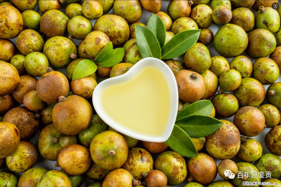 世界没有真相,只有认知,最好的食用油是中国的山茶油! - 上海生活资讯 - 上海28生活网 sh.28life.com