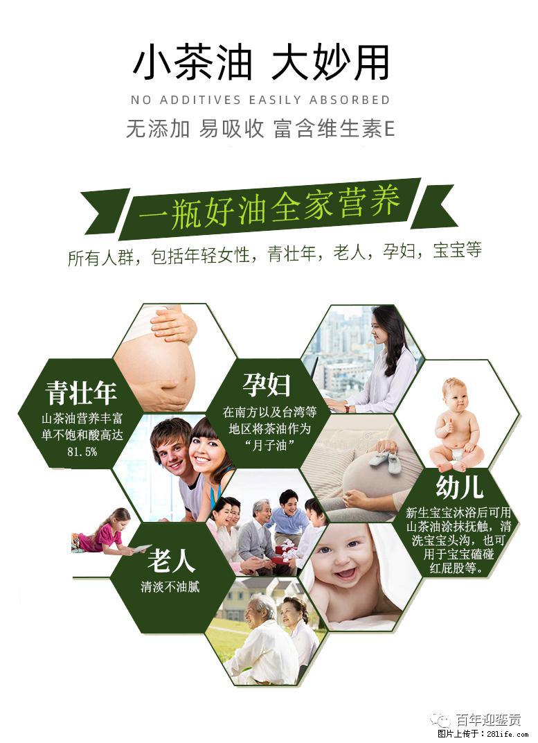 世界没有真相,只有认知,最好的食用油是中国的山茶油! - 上海生活资讯 - 上海28生活网 sh.28life.com