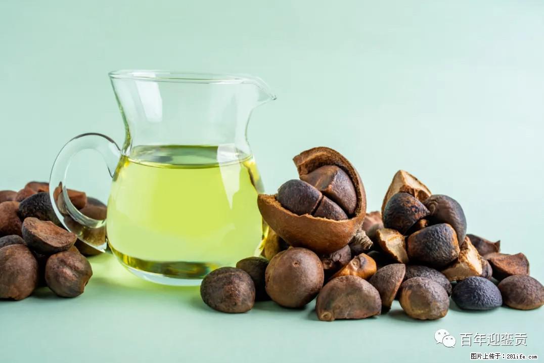 世界没有真相，只有认知，最好的食用油是中国的山茶油！ - 上海生活资讯 - 上海28生活网 sh.28life.com
