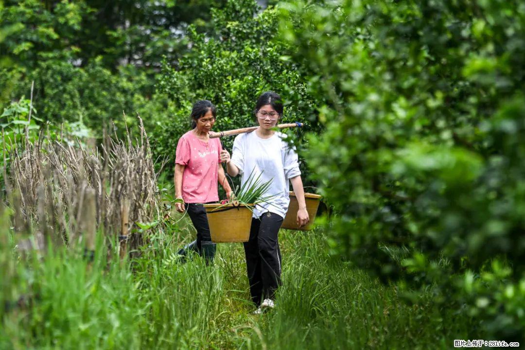 全网追的“扁担女孩”，找了一份暑假工，时薪12元 - 上海生活资讯 - 上海28生活网 sh.28life.com