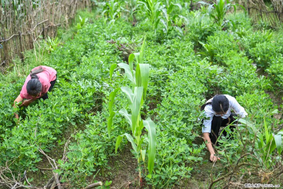 全网追的“扁担女孩”，找了一份暑假工，时薪12元 - 上海生活资讯 - 上海28生活网 sh.28life.com
