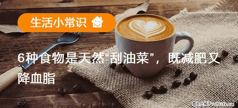 【生活小常识】6种食物是天然“刮油菜”,既减肥又降血脂 - 上海生活资讯 - 上海28生活网 sh.28life.com