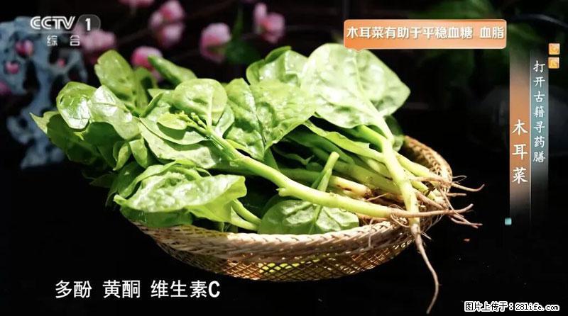 比牛奶补钙还厉害！凉血解毒、稳血糖...这菜冬天必吃，很多人却当草 - 上海生活资讯 - 上海28生活网 sh.28life.com