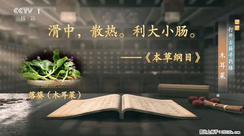 比牛奶补钙还厉害！凉血解毒、稳血糖...这菜冬天必吃，很多人却当草 - 上海生活资讯 - 上海28生活网 sh.28life.com