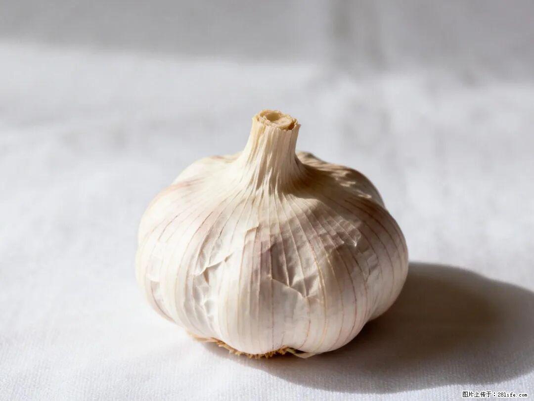 关于大蒜，除了“天然抗生素”，这4个谣言更该警惕! - 上海生活资讯 - 上海28生活网 sh.28life.com