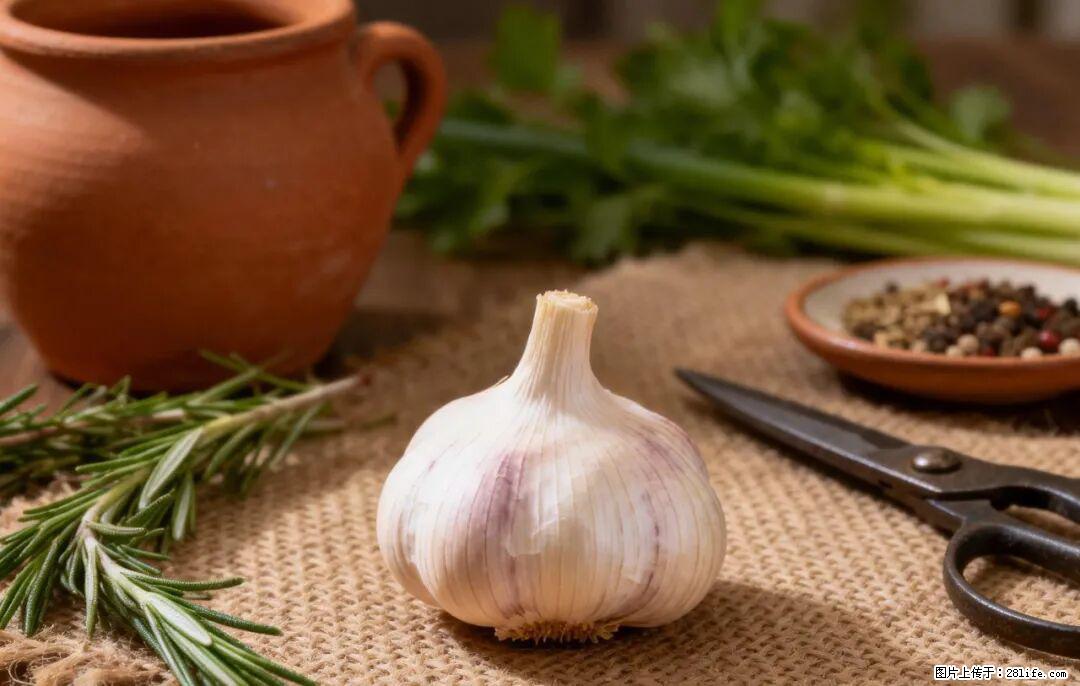 关于大蒜，除了“天然抗生素”，这4个谣言更该警惕! - 上海生活资讯 - 上海28生活网 sh.28life.com