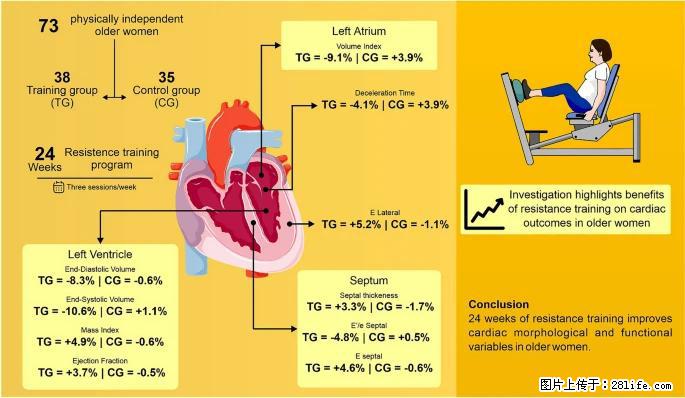 坚持这种运动6个月，心脏有了显著变化！不是跑步，也不是走路 - 上海生活资讯 - 上海28生活网 sh.28life.com