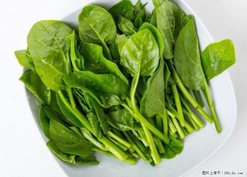 这些蔬菜是“天然钙片”，这6种被医生重点推荐 - 上海生活资讯 - 上海28生活网 sh.28life.com