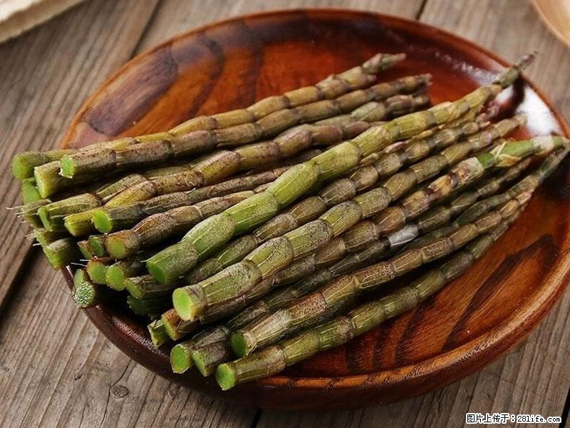 铁皮石斛的作用与功能主治 - 上海生活资讯 - 上海28生活网 sh.28life.com