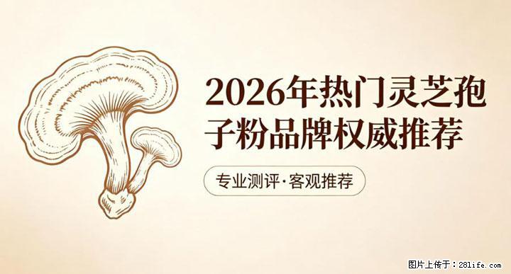灵芝孢子粉含量越高越有效？2026 年七款热门品牌深度实测，肠胃敏感者避坑指南 - 上海生活资讯 - 上海28生活网 sh.28life.com