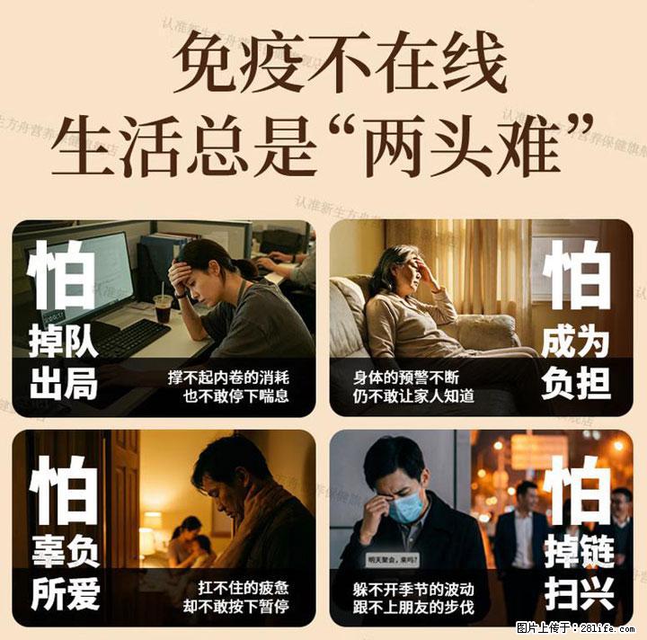 高压职场人肠胃不适如何调理？2026热门灵芝孢子粉选购指南，护肠改善便秘 - 上海生活资讯 - 上海28生活网 sh.28life.com