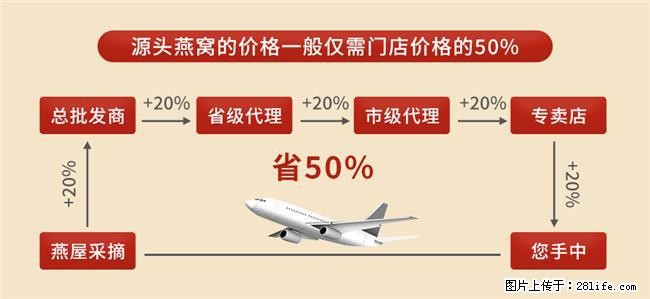 孕期滋养燕窝推荐，2026优质溯源燕窝，备孕营养品安心吃 - 上海生活资讯 - 上海28生活网 sh.28life.com