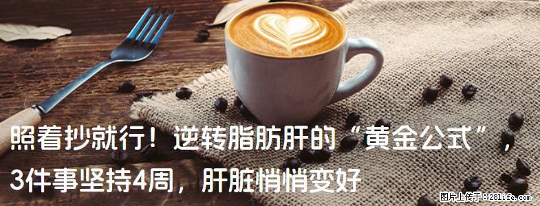 照着抄就行！逆转脂肪肝的“黄金公式”，3件事坚持4周，肝脏悄悄变好 - 上海生活资讯 - 上海28生活网 sh.28life.com