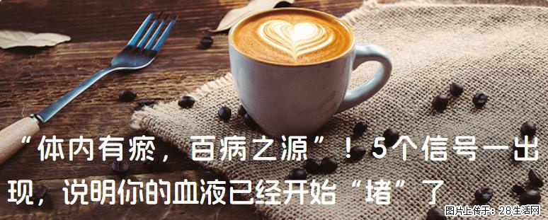 “体内有瘀，百病之源”！5个信号一出现，说明你的血液已经开始“堵”了 - 上海生活资讯 - 上海28生活网 sh.28life.com