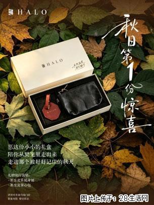 限时宠粉|挑一件新物,带它回家 - 上海生活资讯 - 上海28生活网 sh.28life.com